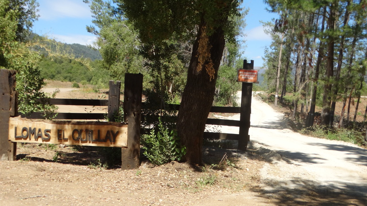 WhatsApp Image 2022 12 01 at 12.43.17